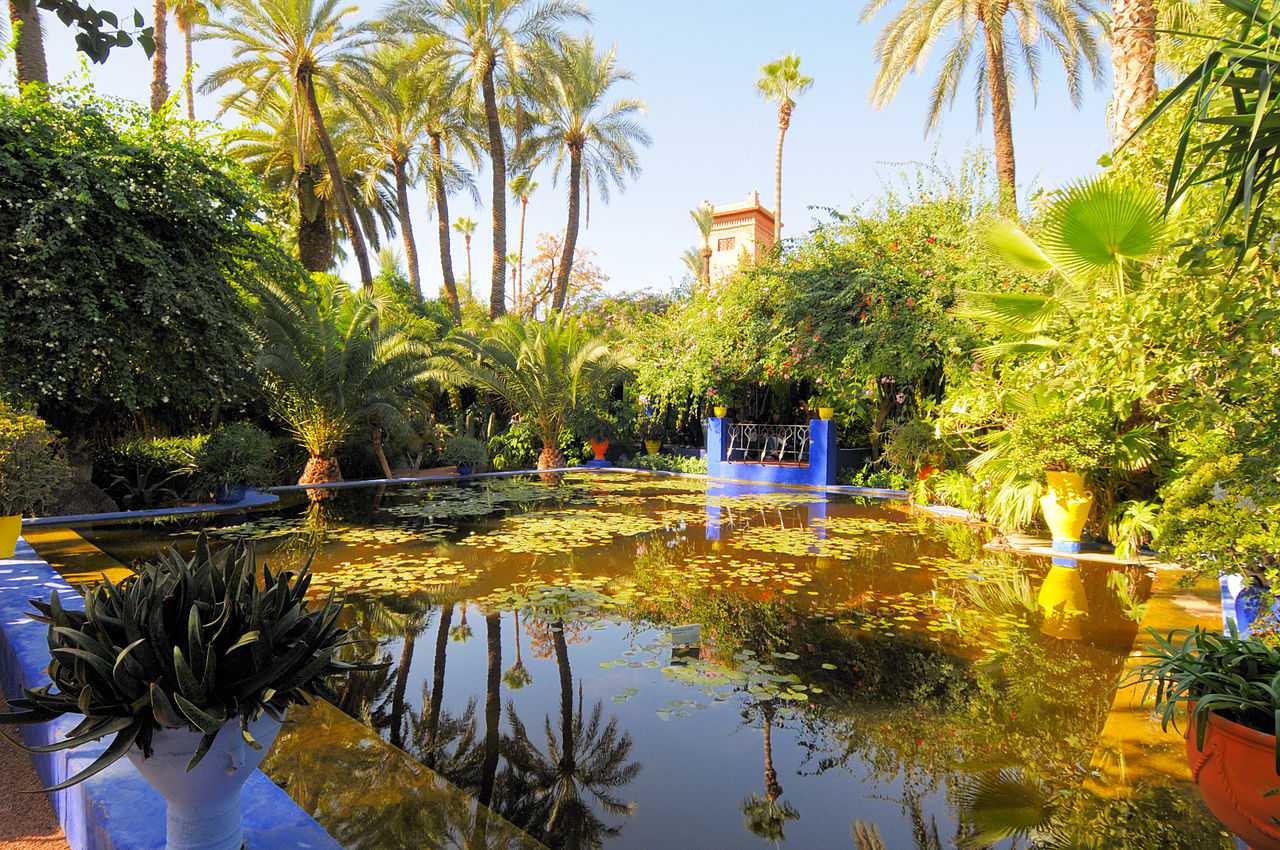 The Majorelle Garden, Marrakech, Morocco