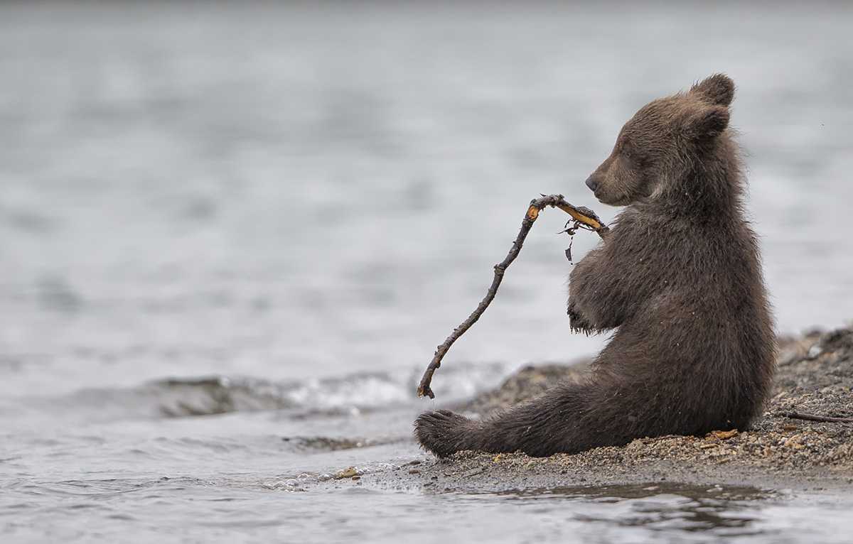 Kamchatka, Russia